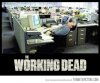 funny-zombie-working-job.jpg