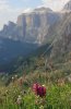 IMG_0621-1.jpg