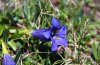 IMG_0904-1.jpg