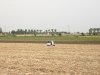 agro sett 08 013.jpg
