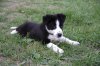 IMG_9670-1.jpg