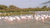 WP_20150913_024.jpg