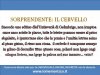 articolo11.jpg
