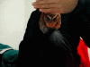 dcab74b1321a498281444f45389d5475.gif