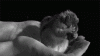 tumblr_ny6p2kAMUW1ru2do6o1_500.gif