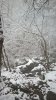 WP_20160105_11_18_47_Pro.jpg