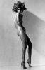 294d_herb_ritts_nega_fulo.jpg