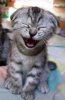ridere.jpg