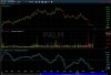 Palm 19 min 4,09.jpg