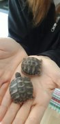 IMG-20201004-WA0003.jpg