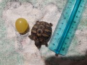 20201004_152724.jpg
