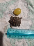 20201004_152638.jpg