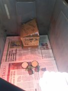 20201006_145203.jpg