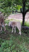 FB_IMG_1617192160730.jpg