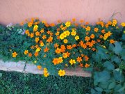 IMG_20210912_164142924.jpg