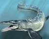 mosasaur.JPG