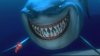 squalo-shark.jpg