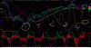 BORSA_231.gif
