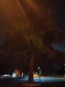 IMG_20220719_004612.jpg