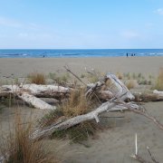 20220907_142718.jpg