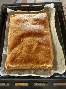 IMG_20220918_125632222.jpg