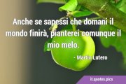 843-martin-lutero-ispiratrici-perseveranza-it.jpg