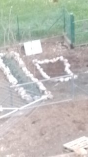 WhatsApp Image 2023-05-09 at 17.32.36.jpeg