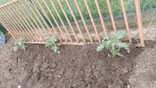 WhatsApp Image 2023-05-13 at 09.46.23.jpeg