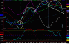 BORSA_340.gif