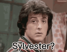 sylvester-silvester.gif