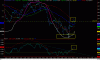 BORSA_008.gif