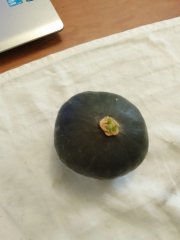 IMG_20240916_181721.jpg