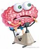 brain-training-ginnastica-cervello-fitness-nintendo-brain-age.jpg