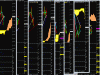 Anonimo.gif