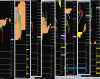 Anonimo.gif