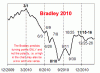 bradley2010.gif