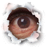ti_vedo....gif