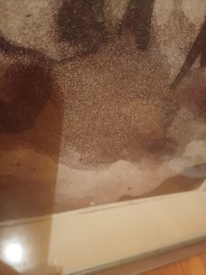 20250425_172138.jpg
