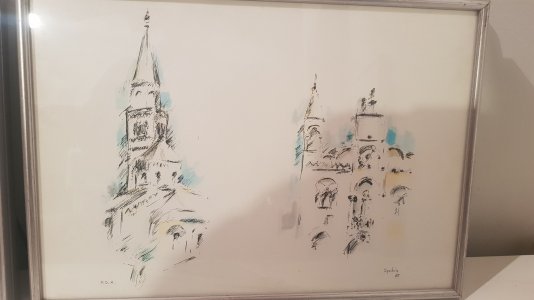 20250428_205320.jpg