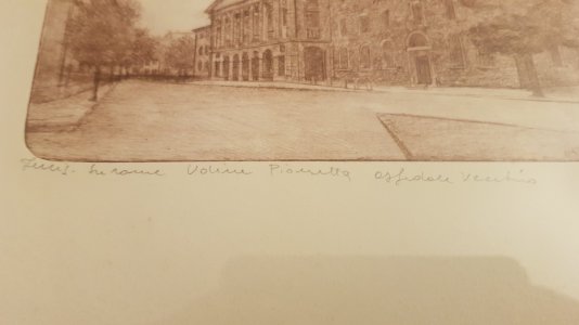 20250428_210118.jpg