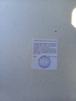 20250511_111534.jpg