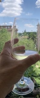 IMG_4683.jpeg