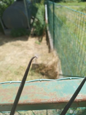 20250720_110721.jpg