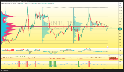 BRN1!_2025-07-27_16-01-25_3c6f4.png