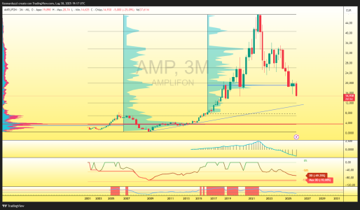 AMP_2025-07-30_21-17-39_bd4f8.png
