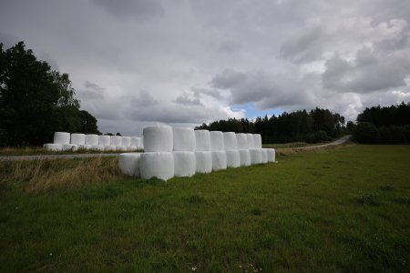 1000281065.jpg