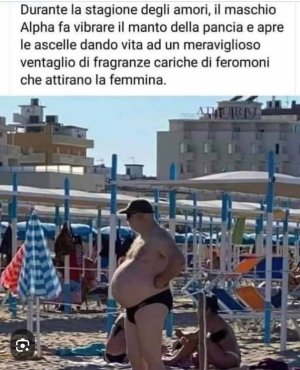 main-qimg-1f691688e049082c93f0e8b0f59fdd80.jpeg