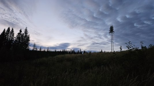 1000281579.jpg