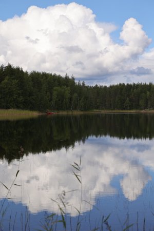 1000284218.jpg