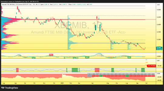 XBRMIB_2025-08-27_10-16-53.png